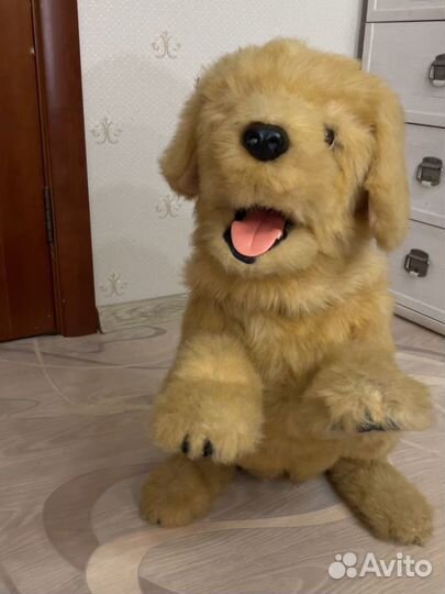 Интерактивная собака Hasbro