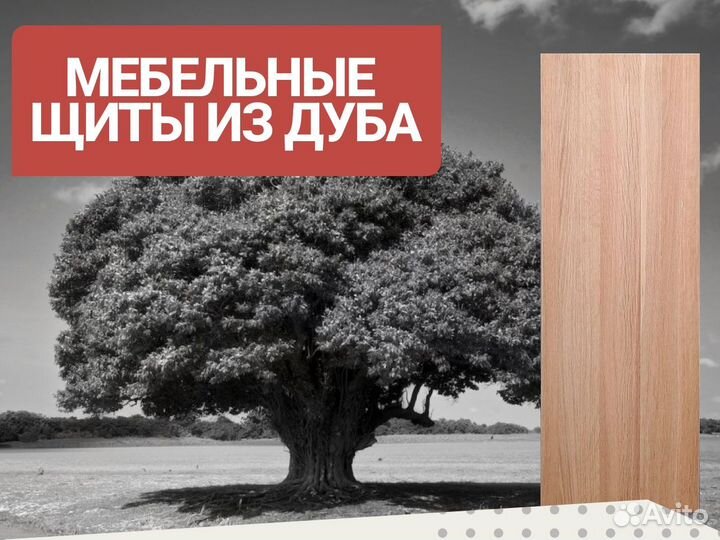 Дубовый щит