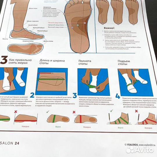 Плакат Размер обуви А1
