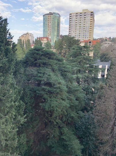 Своб. планировка, 42 м², 6/17 эт.