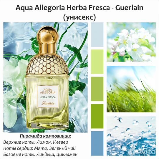 Guerlain - Aqua Allegoria Herba Fresca 10 мл