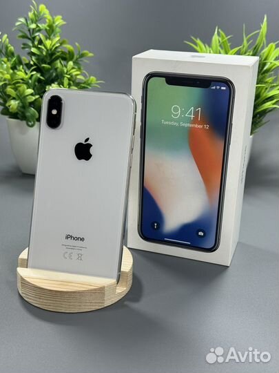 iPhone X, 256 ГБ