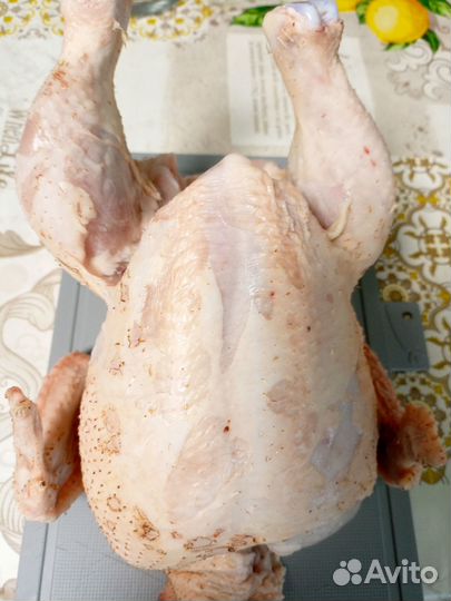 Мясо домашнего бройлера