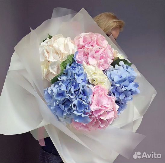 Гортензия. Свежие Букеты. Гортензия Микс