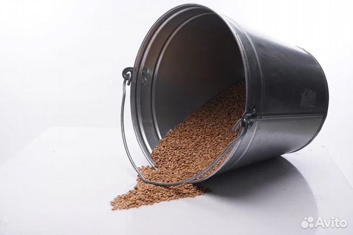 Зерно пшеница, овес, ячмень