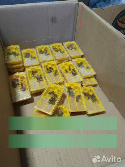 Пчеломатки