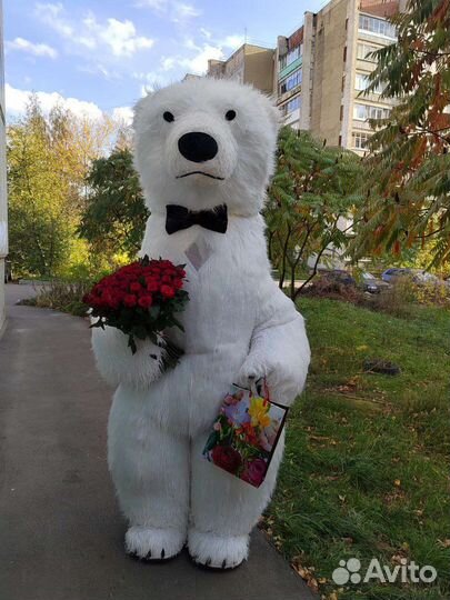 Белый медведь, бурый медведь, аниматор на праздник