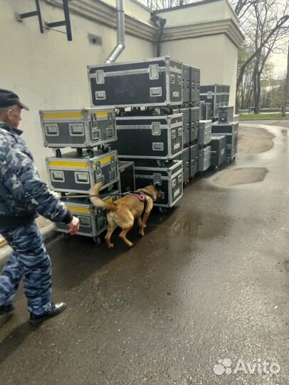 Подработка для кинолога