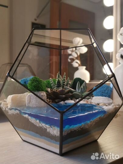 Флорариум с живыми растениями