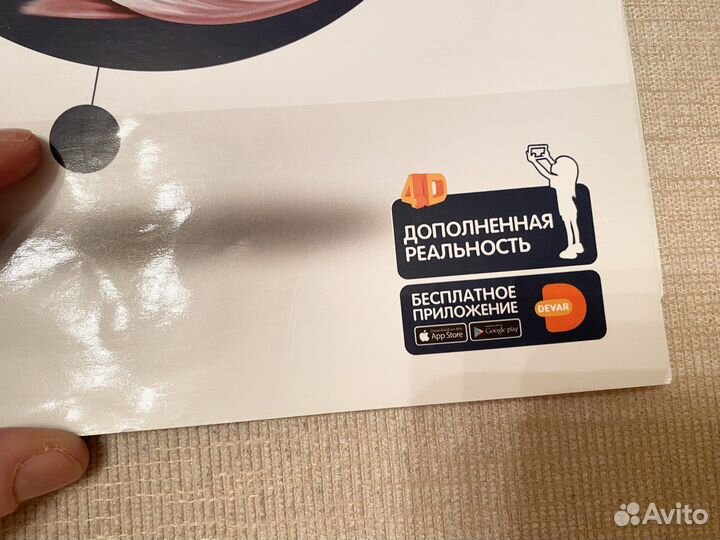 Энциклопедия 4Д анатомия человека органы