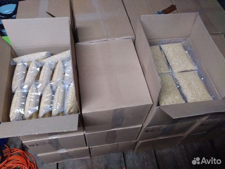 Ядро кедрового ореха свежее высшего сорта 2023 год