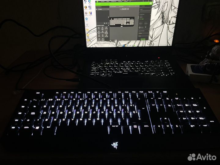 Razer blackwidow chroma