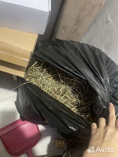 Клетка для кролика