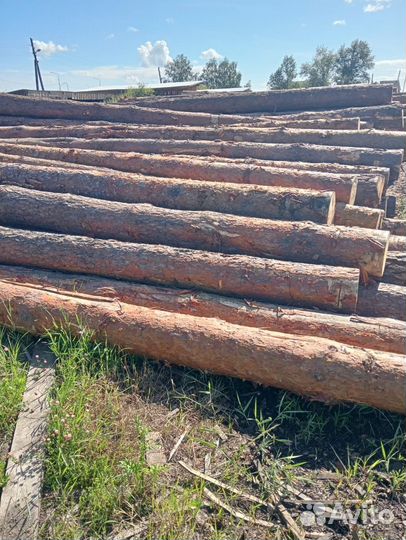 Лес кругляк пиловочник