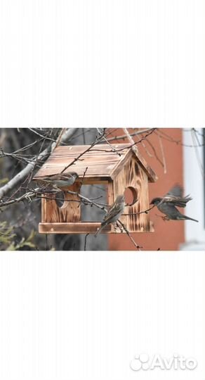 Кормушка для птиц и белок с обжигом