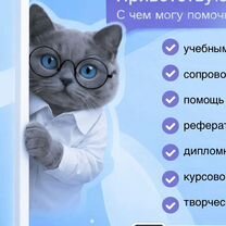 Школьный и индивидуальный проект для колледжа, Пенза