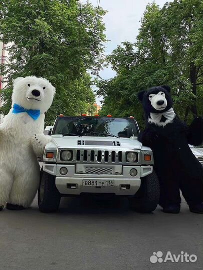 Большой Белый Мишка Умка и Бурый Мишка Барни