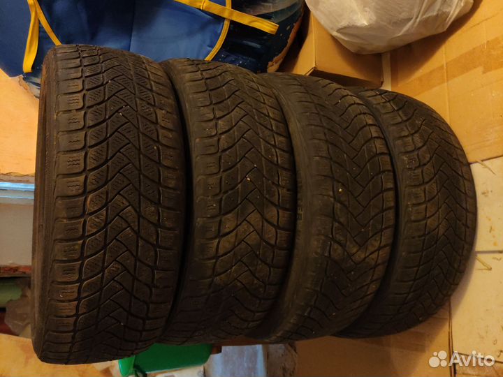 Delinte Winter WD6 205/55 R17 95H