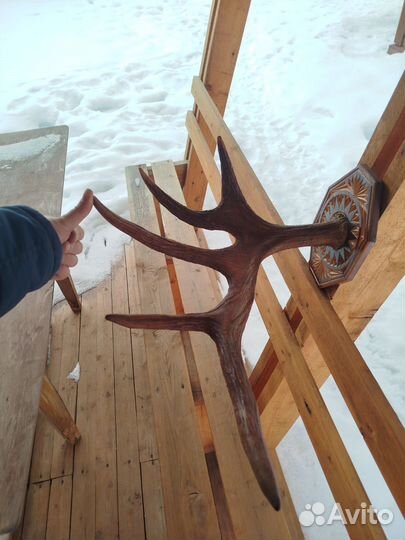 Рога лося вешалка