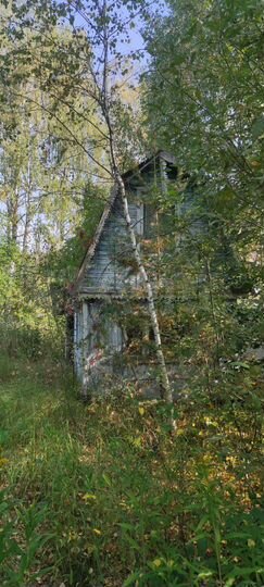 Участок 10,6 сот. (ИЖС)