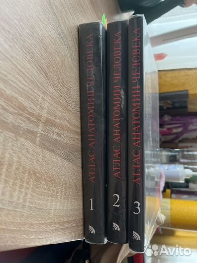 Атлас анатомии человека Синельников