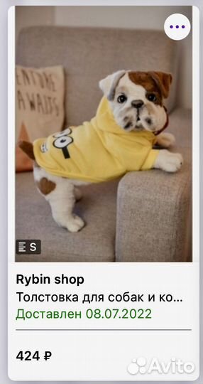 Толстовка для собак мелких пород S