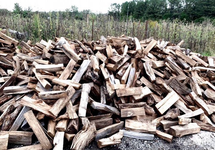 Дрова в область