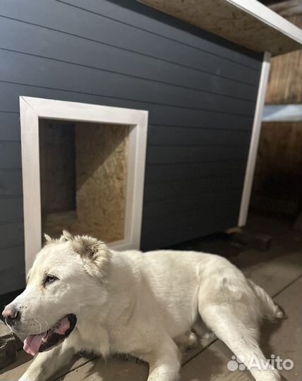 Будка для собаки утепленная