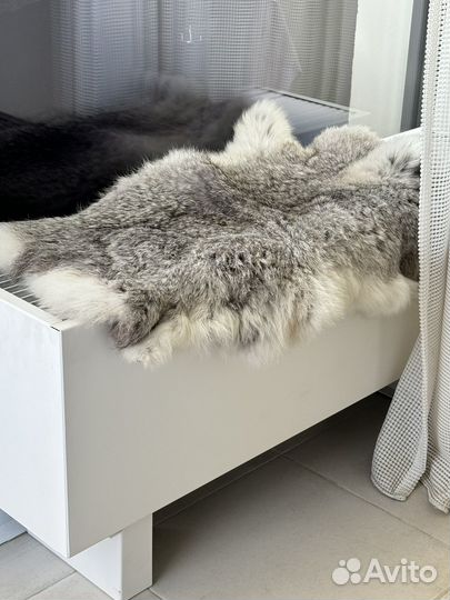 Кроличья шкурка