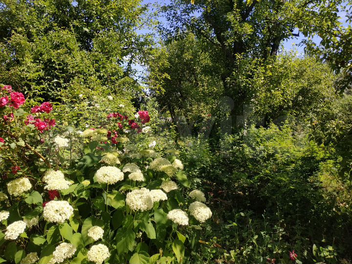 Дача 30 м² на участке 8 сот.