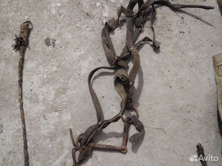 Конская сбруя