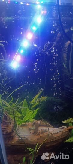 Лампа для аквариума