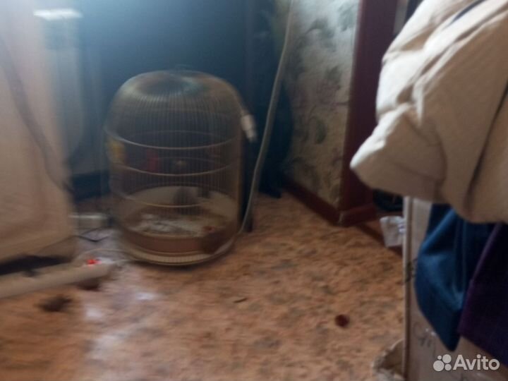 Клетка для попугая большая