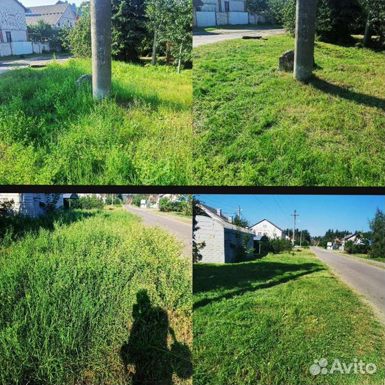 Услуги покоса травы