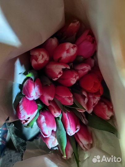 Тюльпаны 8 марта