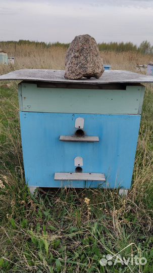 Ульи для пчел (очень теплые - 50 мм утеплитель)