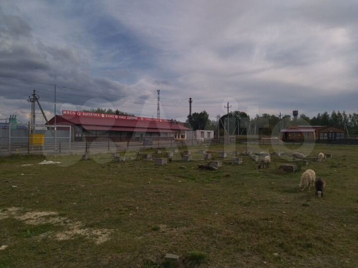 Общепит, 420 м²