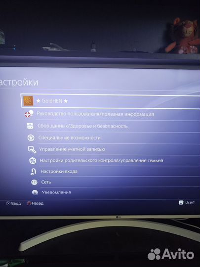 Sony playstation 4 pro прошитая