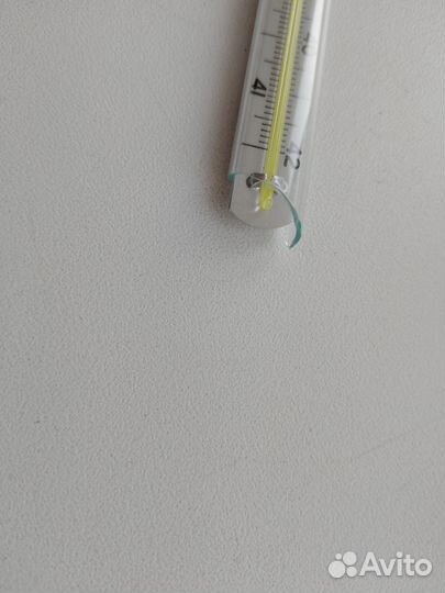 Термометры ртутные