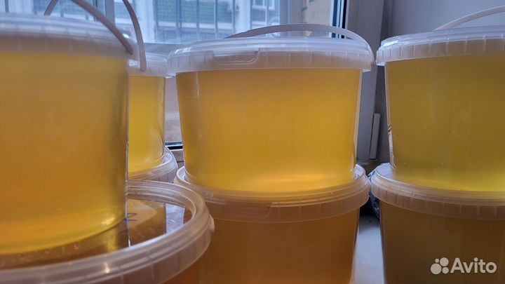 Мед липовый 2023