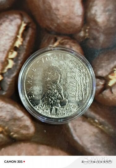 Монета в ламинате