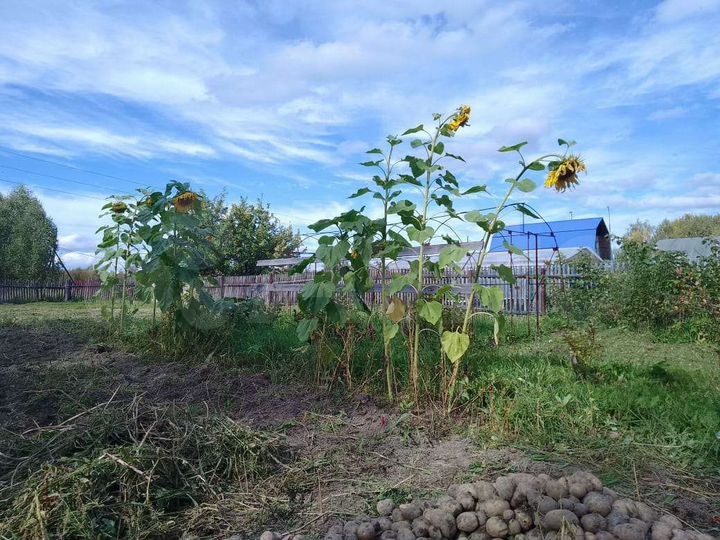 Дом 64 м² на участке 12 сот.