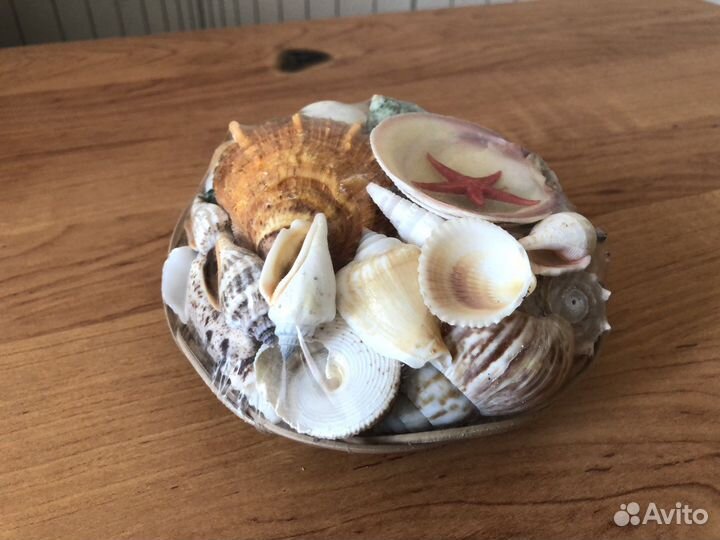 Корзиночка с ракушками новая