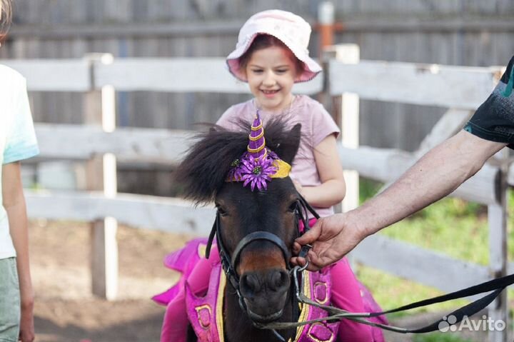Детский день рождения