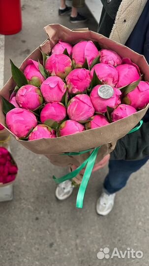 Живые цветы оптом