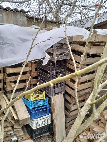 Виноградные ящики