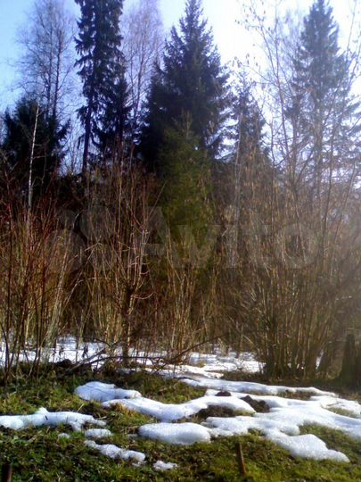 Участок 6 сот. (СНТ, ДНП)