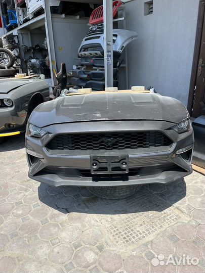 Ford Mustang halfcut 2022