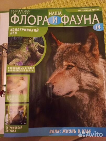 Наша флора и фауна