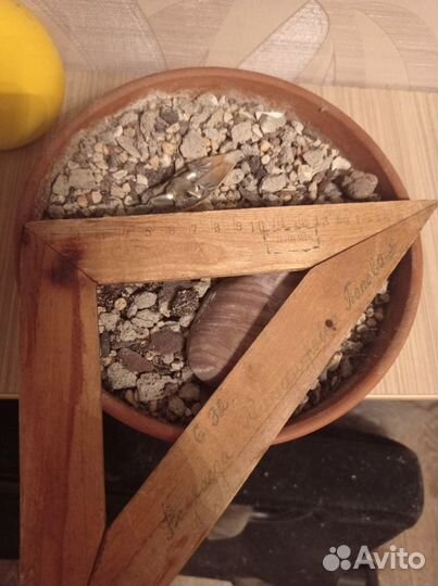 Глиняный горшок с грунтом